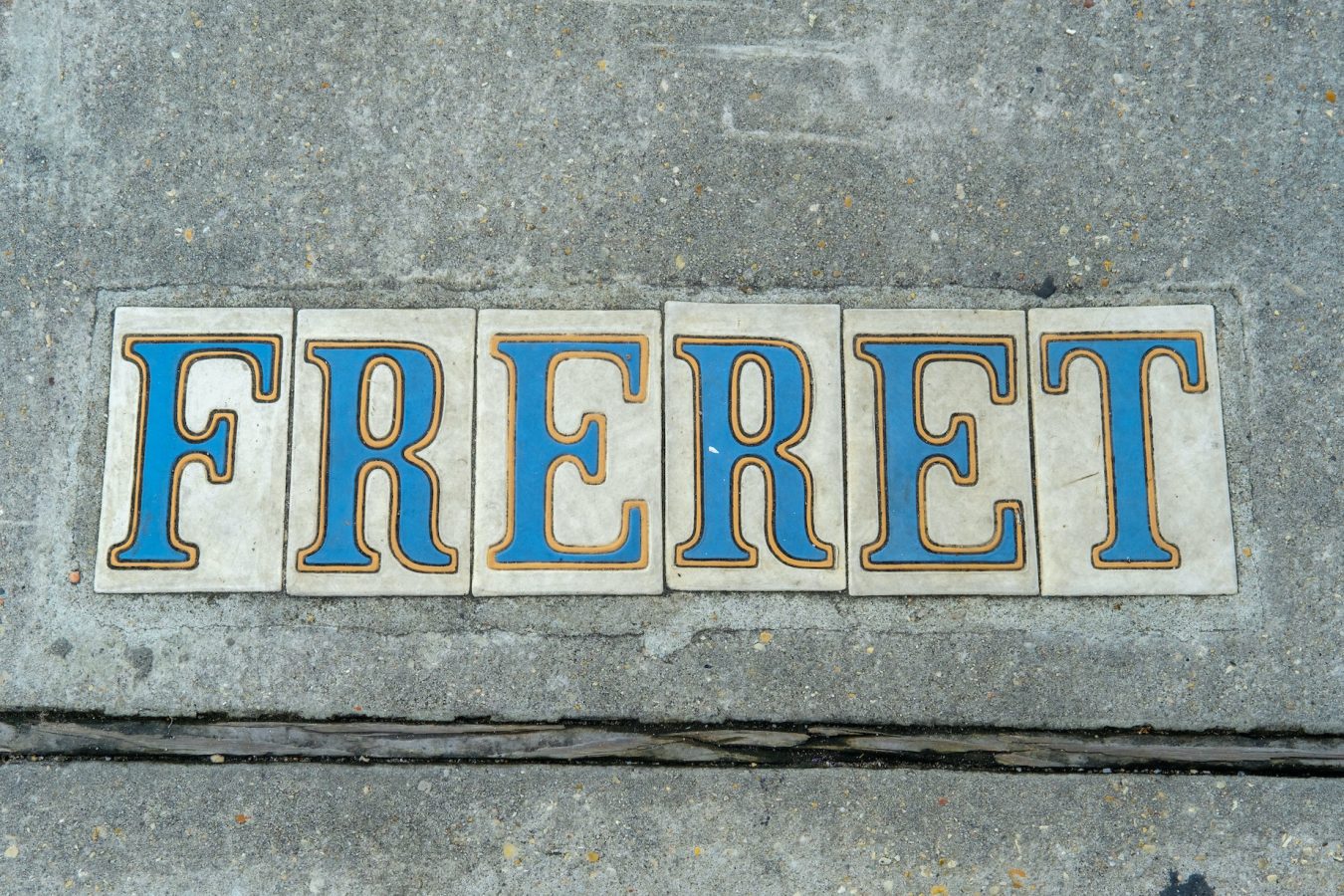 https://alderhotel.com/wp-content/uploads/2020/03/Freret-Street-Sign-Small-Photo_Adobe-Stock-2-copy-1350x900.jpg